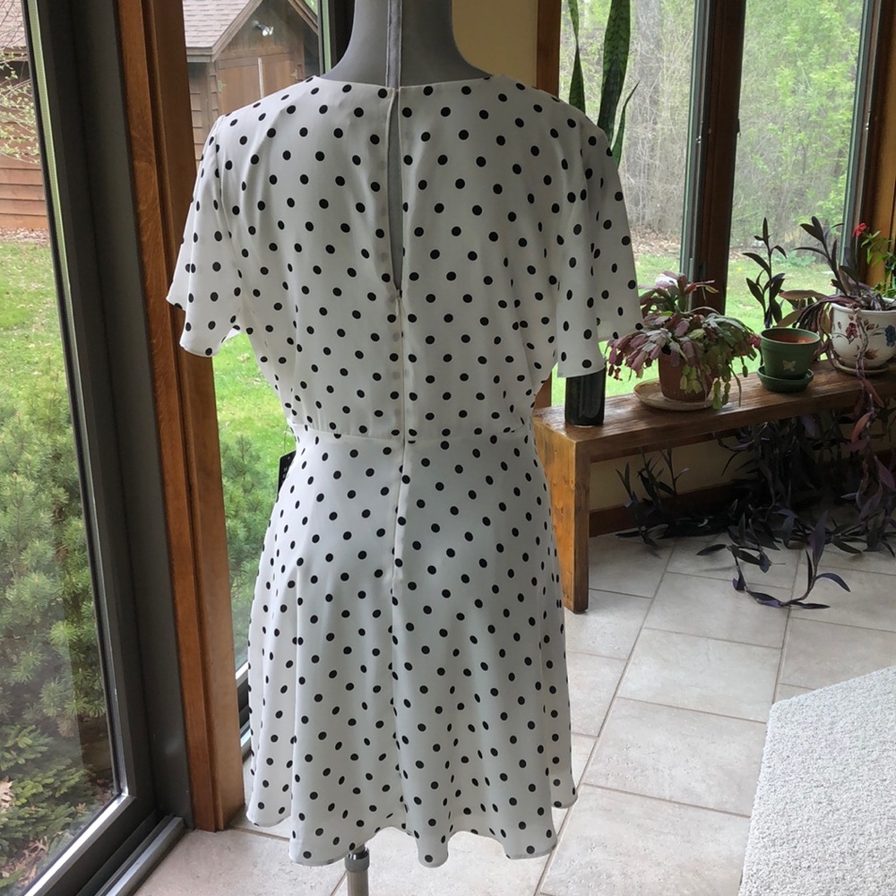 Express-Flutter Sleeve Fit & Flare Dress-NWT - Picture 6 of 7